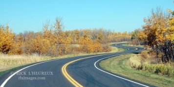 Long & Winding Road